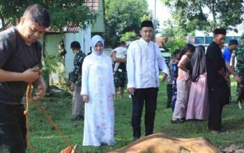 Kodim 0617/Majalengka Tebar Kepedulian di Idul Adha 1447 H, Sembelih 1 Sapi dan 9 Kambing Kurban