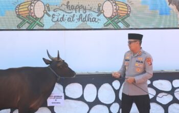 Kapolres Kutim Sumbang Hewan Kurban di Hari Raya Idul Adha 1447 Sebagai Wujud Kepedulian