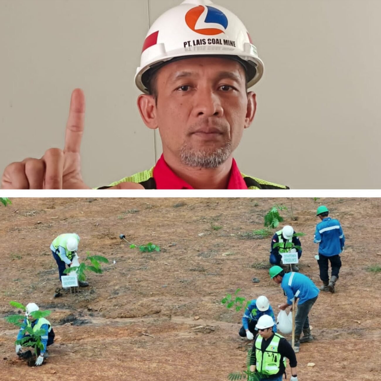 Peringati Hari Lingkungan Hidup Sedunia, PT Lais Coal Mine Gelar Aksi Nyata Peduli Lingkungan