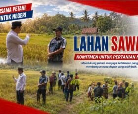 Optimalkan Hasil Panen, Bupati Nias Barat Tinjau Persawahan Warga Desa Balodano dan Janjikan Bantuan Pertanian