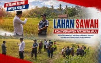 Optimalkan Hasil Panen, Bupati Nias Barat Tinjau Persawahan Warga Desa Balodano dan Janjikan Bantuan Pertanian