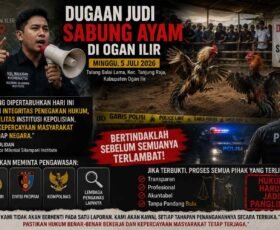 Milenial Silampari Institute Desak APH Bertindak Sebelum Terlambat, Minta Dugaan Sabung Ayam di Ogan Ilir Diusut Tuntas