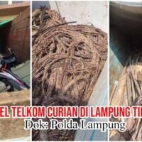 Terbongkarnya Dugaan Pencurian Kabel PT Telkom, Berawal dar Temuan Tim PPWI di Lampung Timur