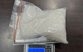 Sat Narkoba Polres Langkat Ungkap Kasus Narkotika, Satu Pelaku Diamankan