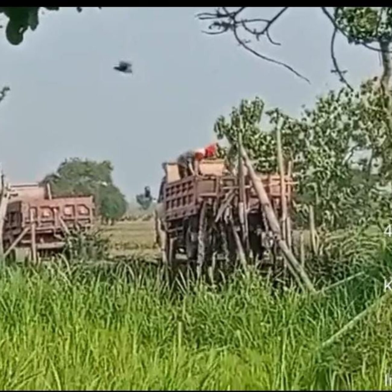 Warga Kecamatan Kunjang Kediri,Desak Kapolres Kediri Lebih Tegas Menindak Para Pelanggar UUD 