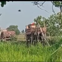 Warga Kecamatan Kunjang Kediri,Desak Kapolres Kediri Lebih Tegas Menindak Para Pelanggar UUD 
