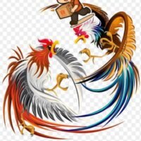 Laporan dugaan sabung ayam kembali mencuat, akankah polres Tulungagung bergerak?