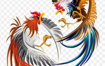 Laporan dugaan sabung ayam kembali mencuat, akankah polres Tulungagung bergerak?