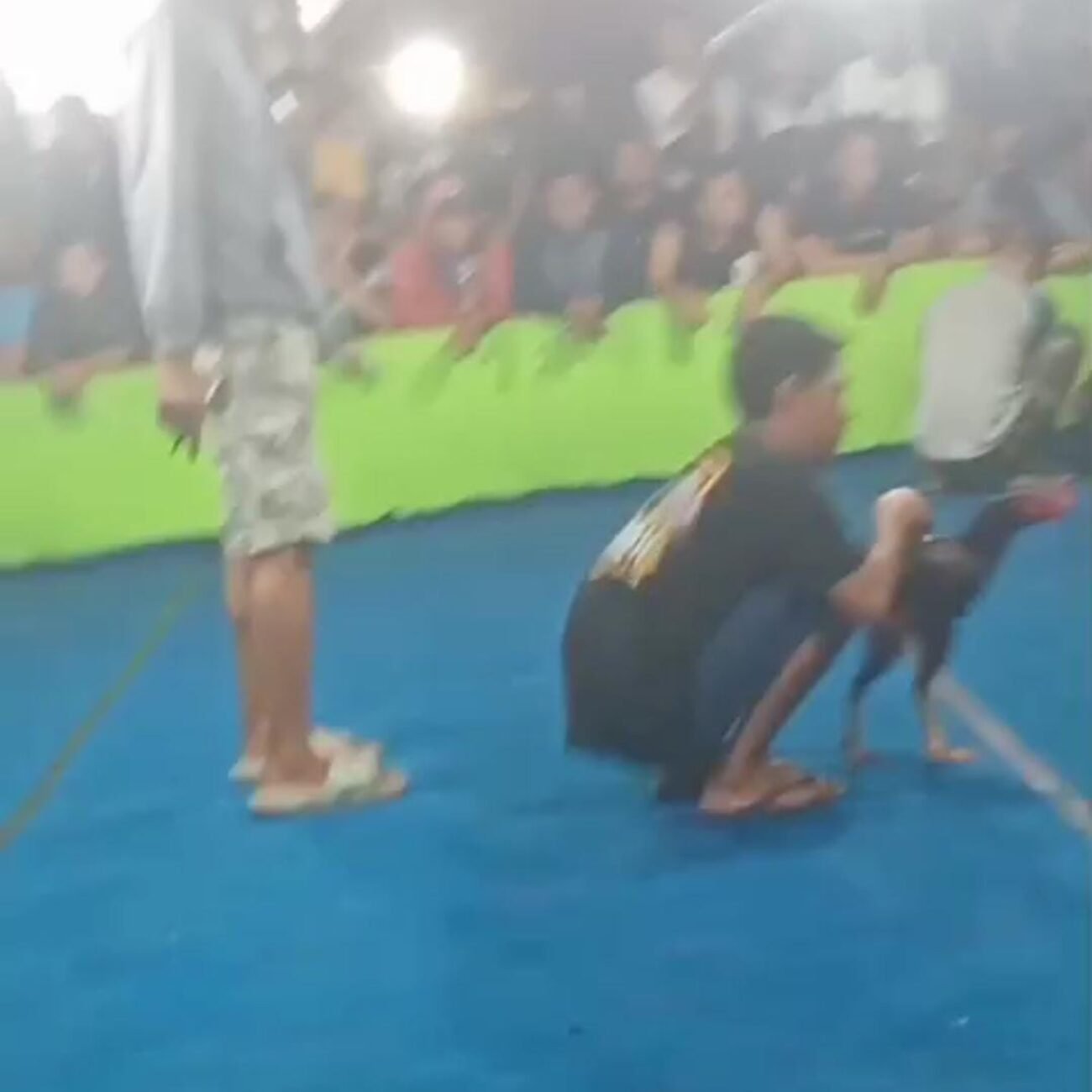 Warga Desa Klurak Sidoarjo Resah Kalangan Sabung Ayam dan Dadu Masih Beraktivitas;Bupati Dan Kapolres Sidoarjo Segera Menindak