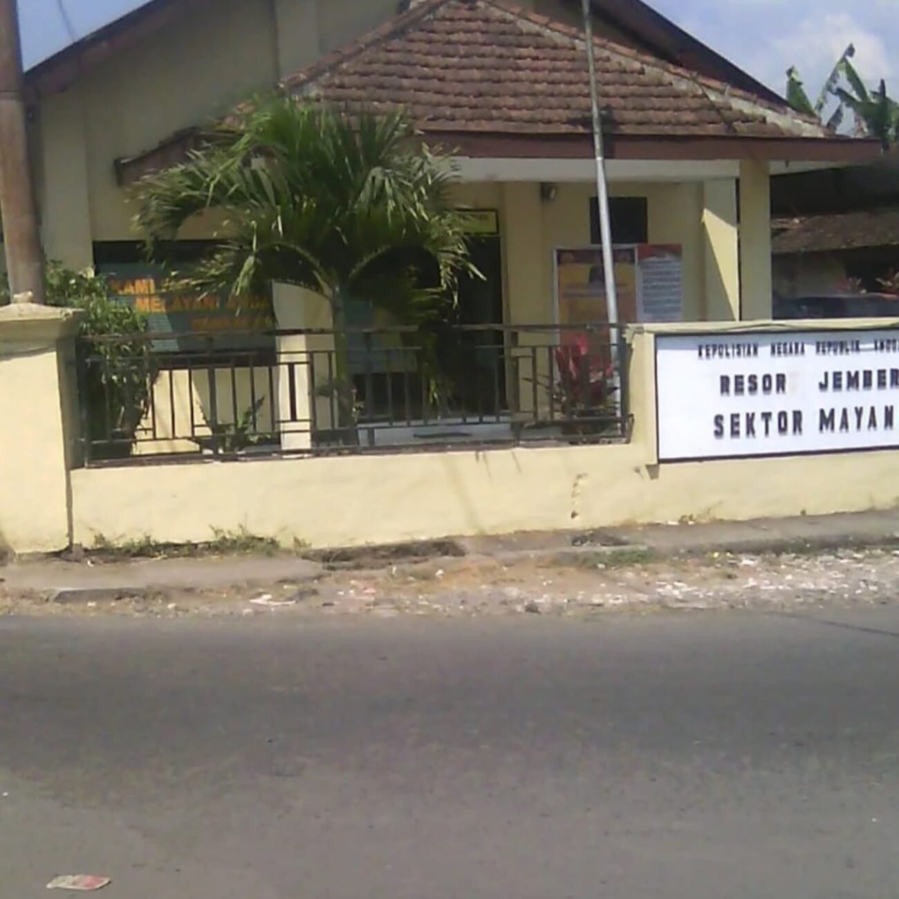 Dugaan sabung ayam kembali beroperasi didesa klayur jember masyarakat pertanyakan ketegasan penegakan hukum