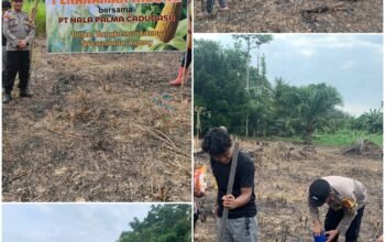 Polsek Muara Bengkal Dampingi PT Nala Palma Cadudasa Menanam Jagung Hibrida