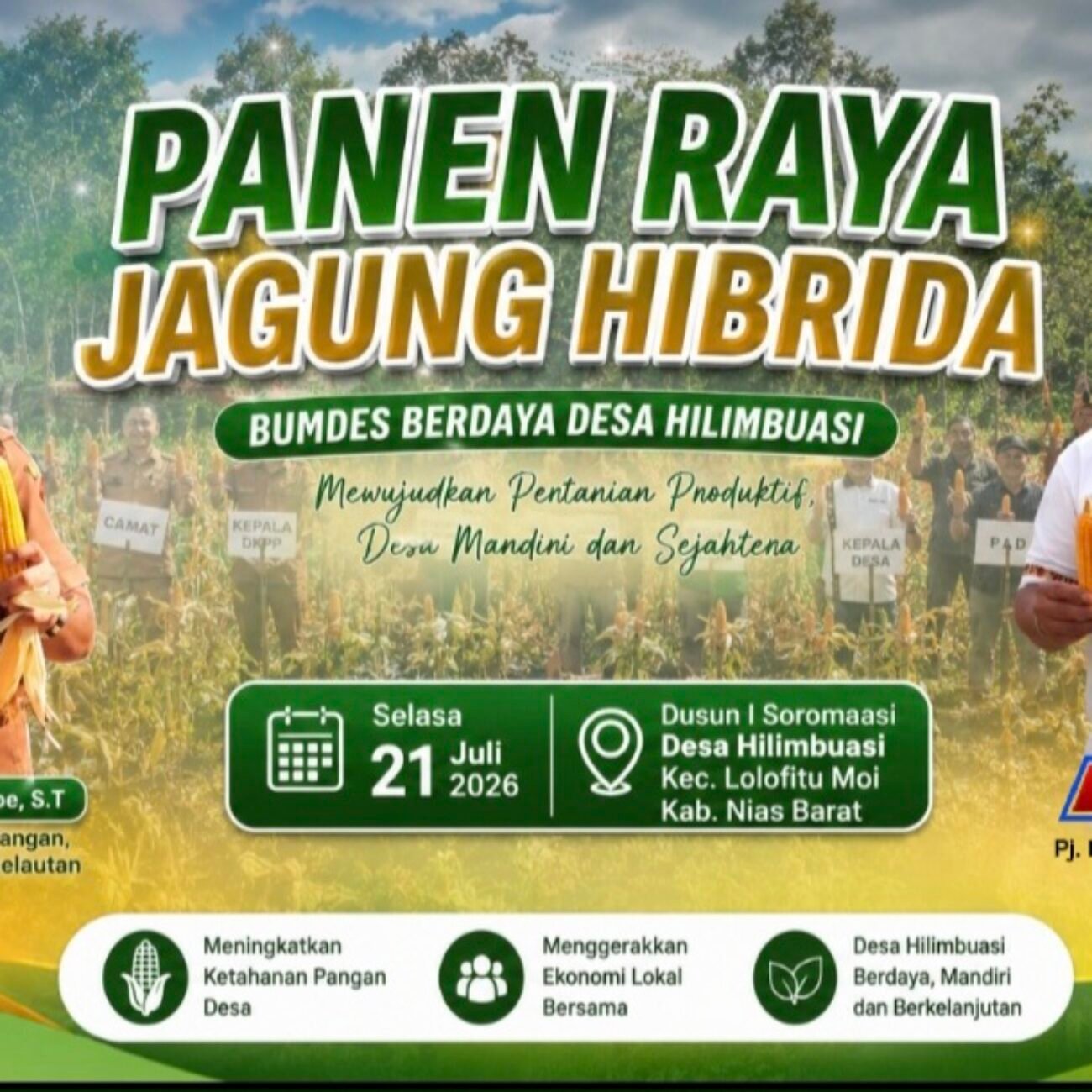 Panen Jagung Hibrida BUMDes Berdaya Hilimbuasi, Bukti Nyata Potensi Pertanian Desa