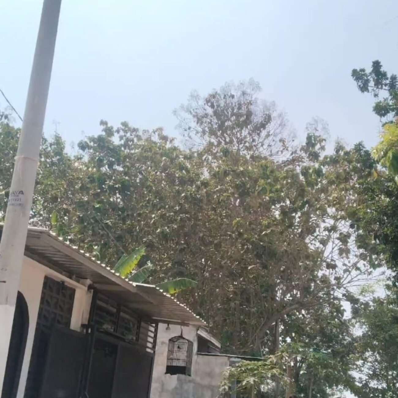 Balung lor disorot: dugaan peredaran okerbaya disebut masik berlangsung,aparat mintak bertindak”