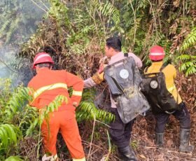Polsek Sangatta Utara Dan Tim Gabungan Turun Memadamkan Karhutla Menghanguskan 0,5 Hektar lahan Di Singa Geweh