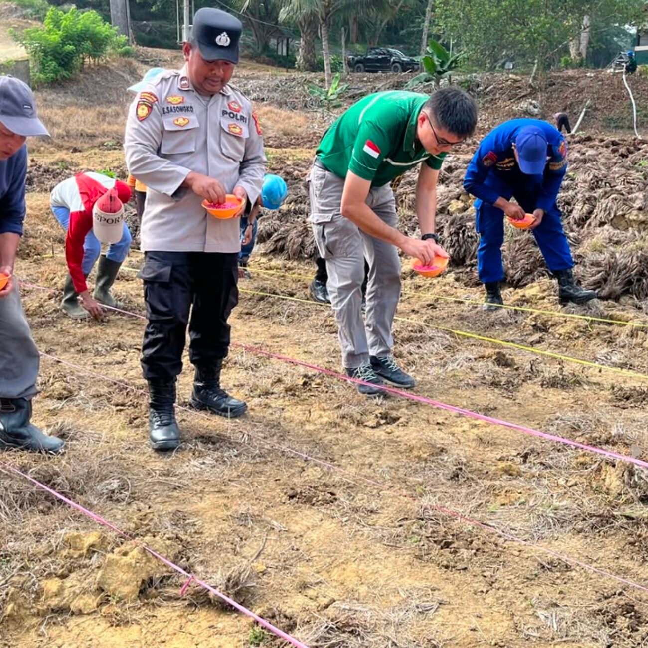 Gugus Tugas Polri Tahap IV, Polsek Sangkulirang Tanam Jagung Pipil di PT IPS