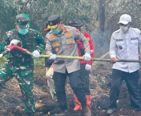 Pangdam XIX/Tuanku Tambusai Cek Langsung Penanganan Karhutla di Kerumutan