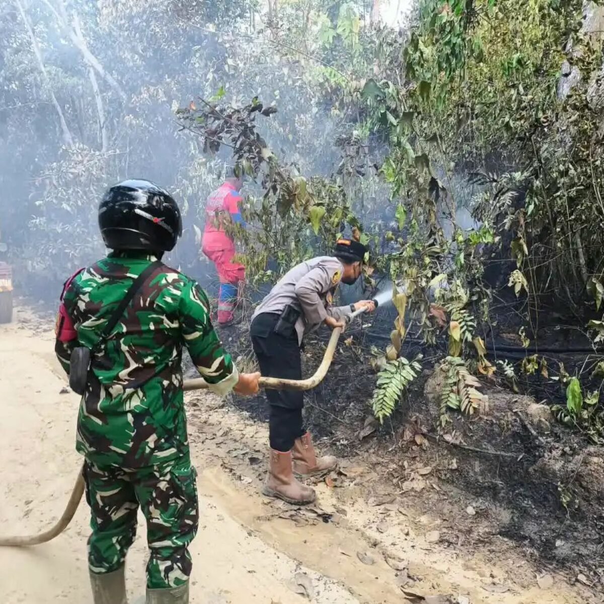 Kebakaran Lahan 2 Hektar Di Teluk Pemedas Berhasil Dipadamkan Berkat Kesiapsiagaan Polsek, Koramil dan Damkar Samboja Yang Bergerak Cepat