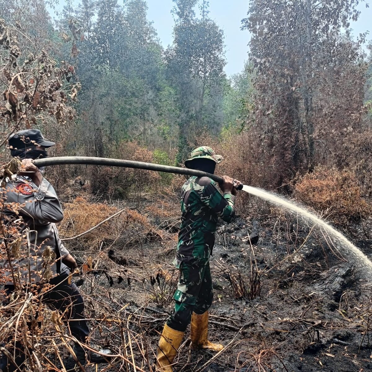 Kodam XIX/Tuanku Tambusai Jaga 966,4 Hektare Lahan Pelalawan dari Potensi Api Kembali Menyala