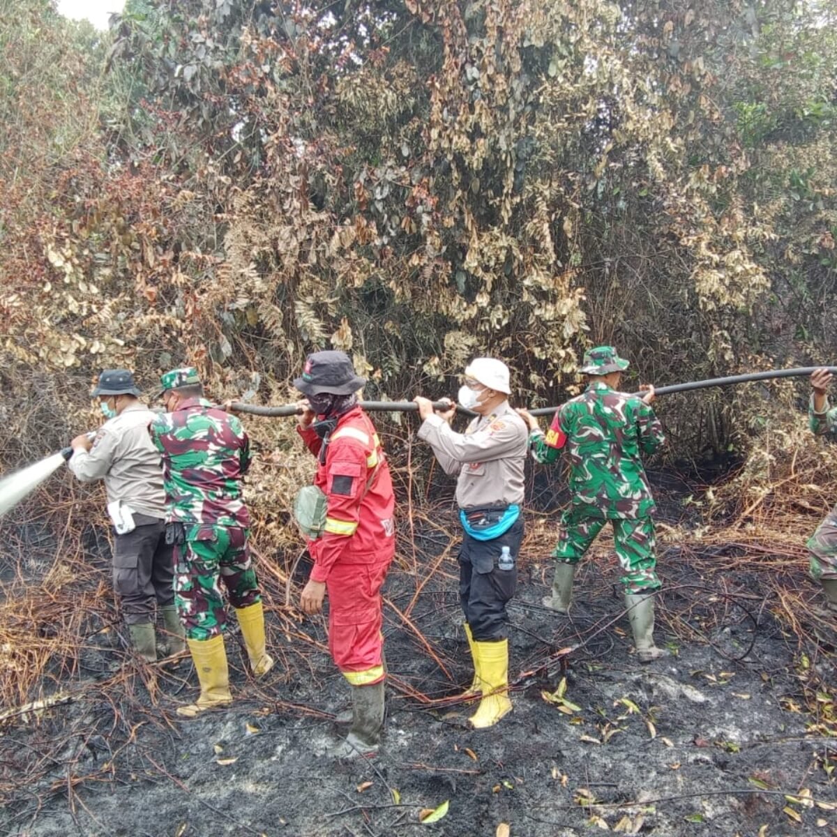 Kodam XIX/Tuanku Tambusai Jaga Lahan Tetap Terkendali, Tim Gabungan Tangani Karhutla Bengkalis – Meranti