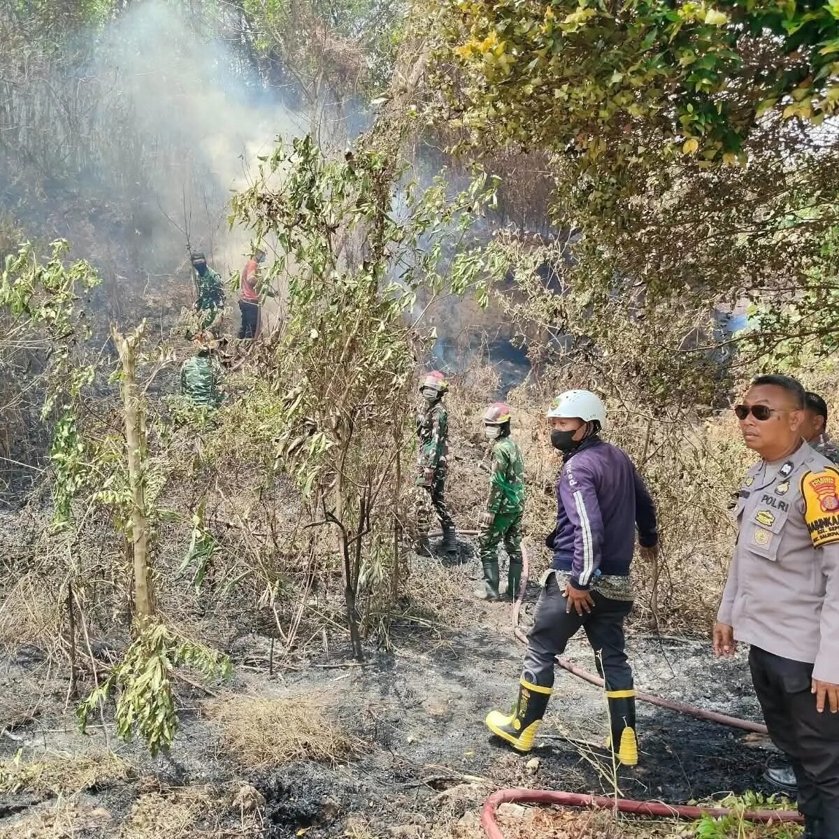 Balikpapan Membara di Kawasan Permukiman Sepinggan, Polri dan BPBD Gerak Cepat Tangani Karhutla